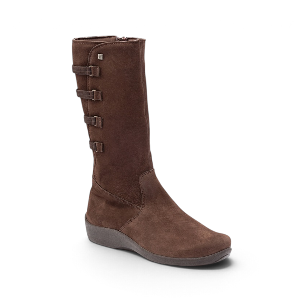 Citrus Montana - Brown