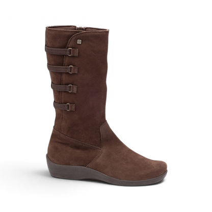 Citrus Montana - Brown