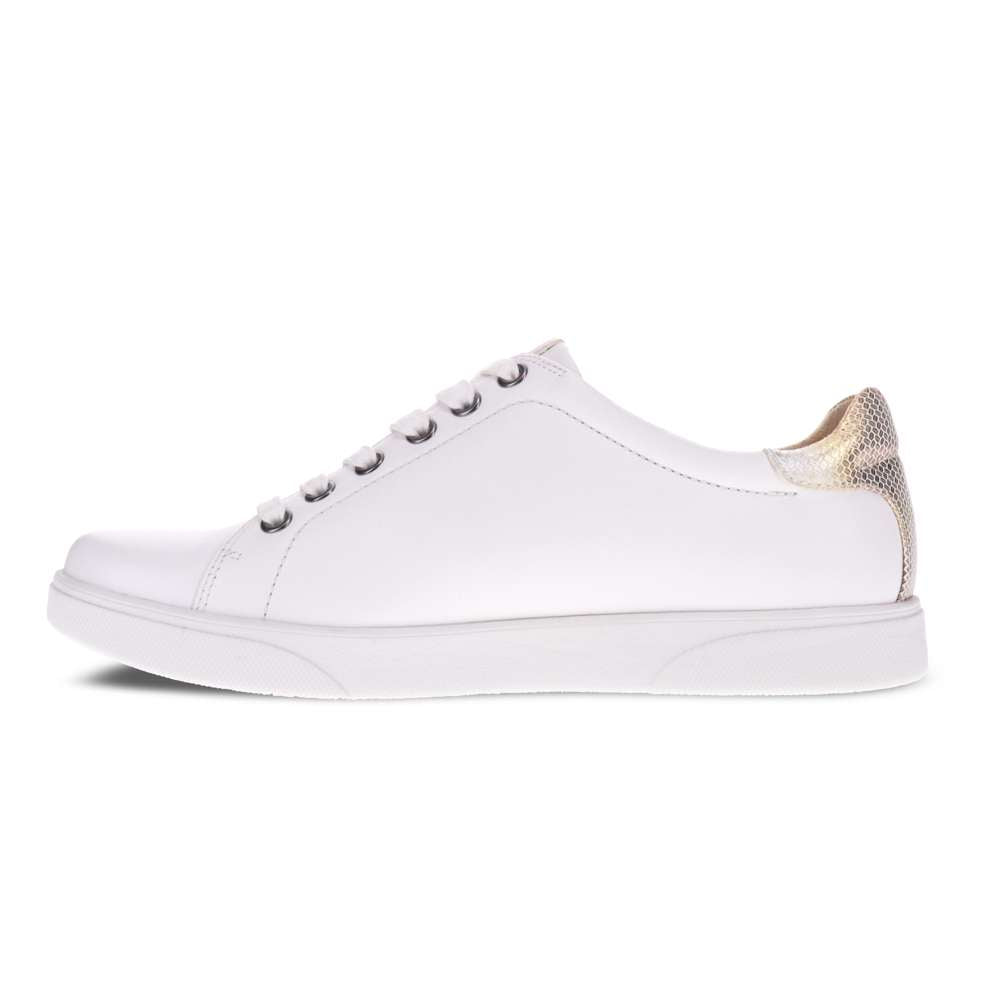 Limoges Lace-Up Casual Sneaker - Coconut/Metallic Interest